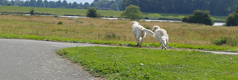 Gemeinsam voran