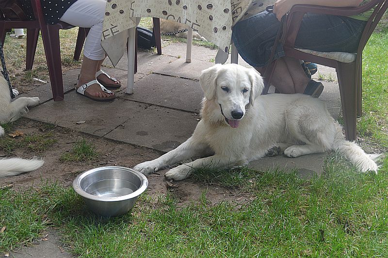 Luna ( links) ist ganze Mama Bonnie - einfach wunderschön