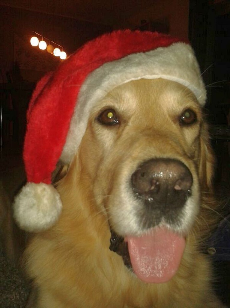 Blase als Weihnachtsman