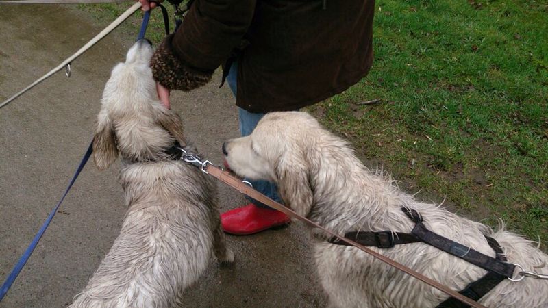 IMG-20140321-WA0027(1)