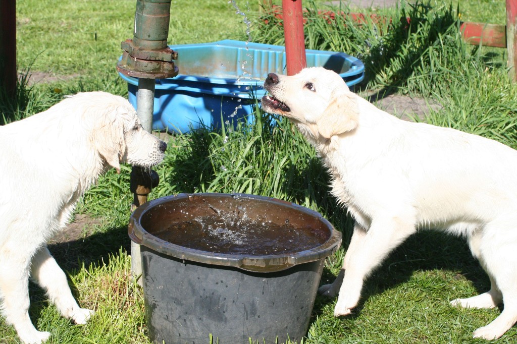 2014-05-03 15.48.02-2