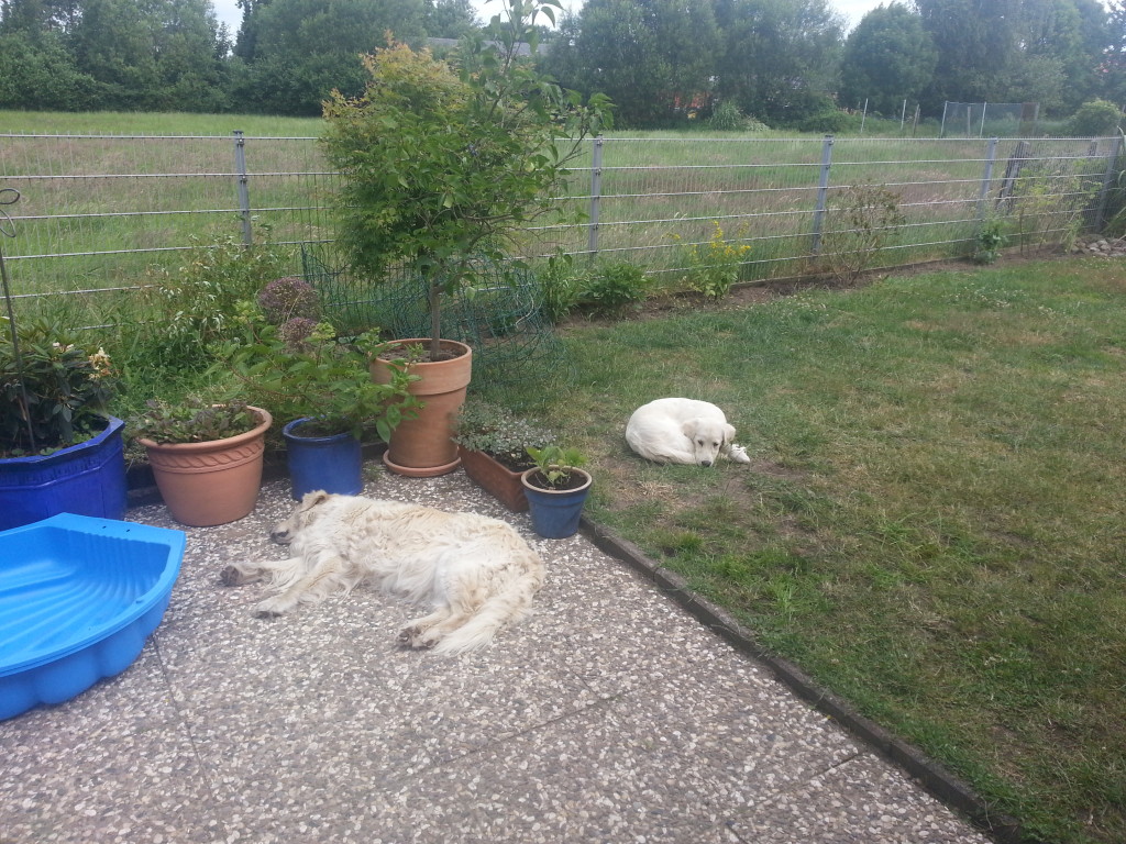 IMG-20140622-WA0002