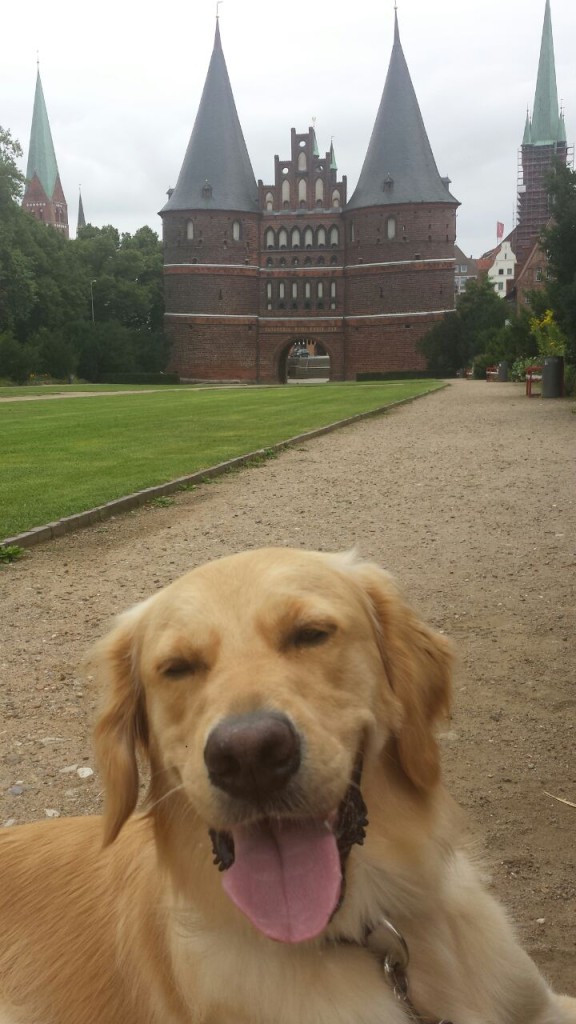 Eden in Lübeck