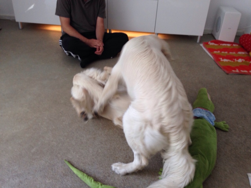IMG-20141003-WA0009