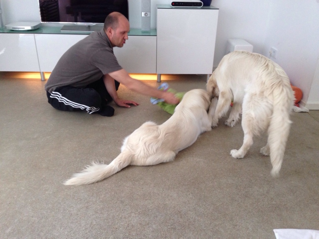 IMG-20141003-WA0010