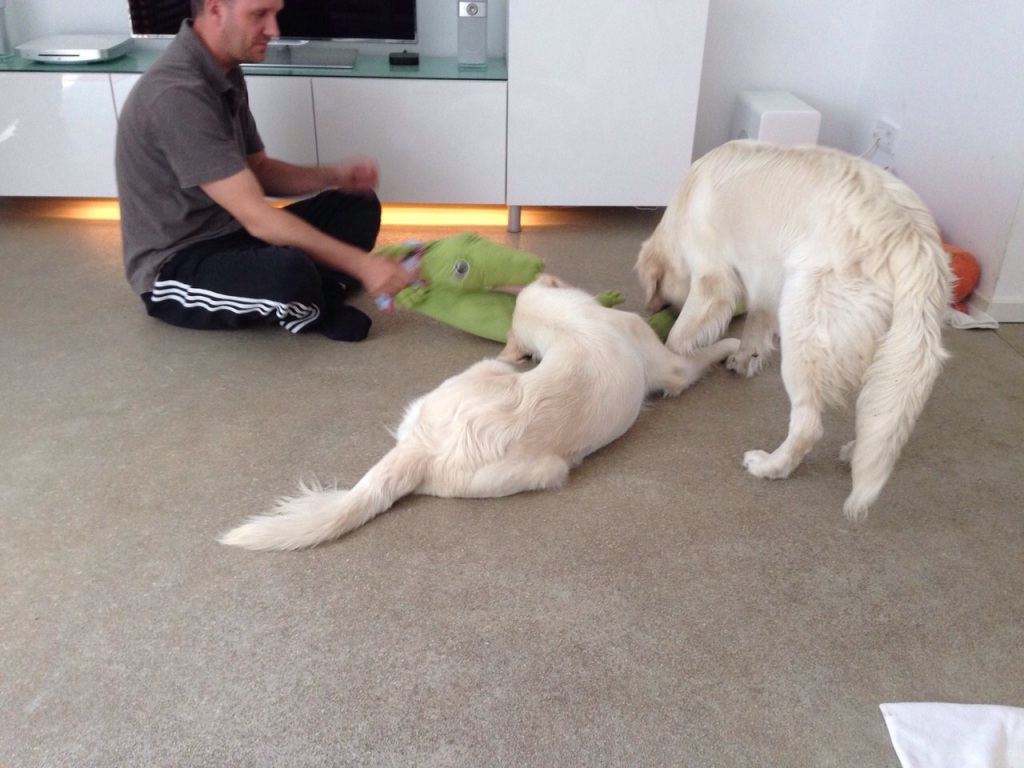 IMG-20141003-WA0014