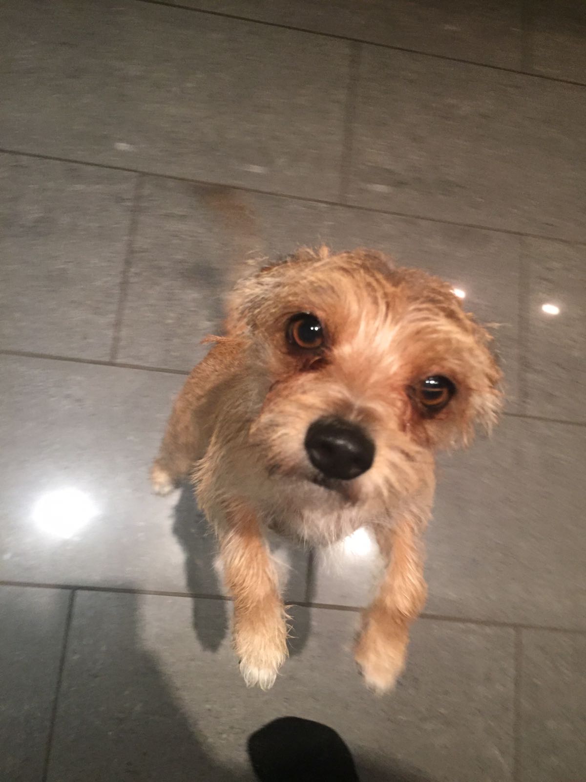 Emma Freundin von Hugo